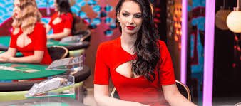 Live dealer studio and betting interface
